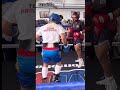 manny pacman pacquiao sparring knockout sports boxing