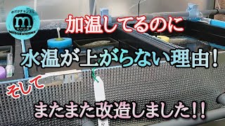 加温しても水温が上がらない？その問題はこれで解決❗加温設備またまた改造😀