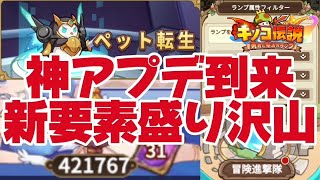 【キノコ伝説】神アプデきた！40万ランプ解放　ペット転生　冒険進撃隊 【武道会優勝経験者】