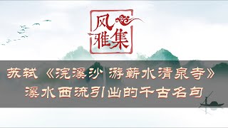 【风雅集】苏轼《浣溪沙•游蕲水清泉寺》谁道人生无再少？门前流水尚能西：溪水西流引出的千古名句