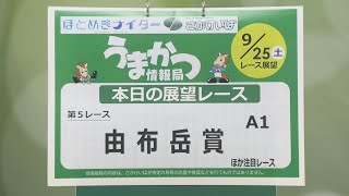 さがけいばの予想チャンネル！【うまかつ情報局 ９/25日 レース展望】由布岳賞