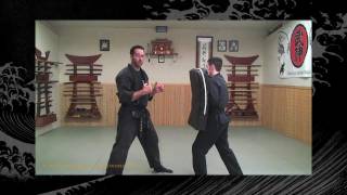 Taijutsu: Bujinkan/Ninjutsu Lesson - Ninja Training Video Blog