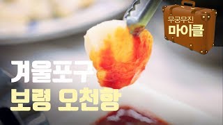 겨울 포구 기행, 보령 오천항 - 무궁무진 대한미국인 마이클 2018 1126 아침이 좋다