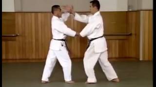 Katate mochi shiho nage ni