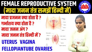 🚆 Railway Group D | मादा जनन तंत्र (जानें हिंदी में) |Female Reproductive System In Hindi| Priti mam