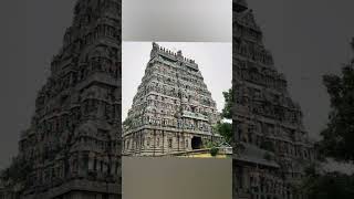 தில்லை கோபுரத்தில் ஐந்து தலை நாகம் #shortsfeed #subscribe #chidambaram #snake #shorts #architecture