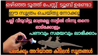 കാലിയായ ടൂത്ത് പേസ്റ്റ് ട്യൂബ് കൊണ്ട് ഇങ്ങനെ ചെയ്യൂ  ക്ലീനിങ് മുതൽ പല്ലിയെ വരെ ഓടിക്കാം / tips