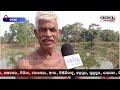 ପୋଖରୀ ହୁଡ଼ା କଟାକୁ ନେଇ ଅସନ୍ତୋଷ odia news live updates latest odia news samayalive