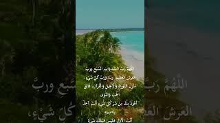 جوامع الدعاء 12