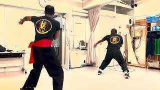 Wing Chun Tokyo- TWC - Advanced Sil Lum Tao Form - 詠春 - 東京 - アドバンスド 小念頭