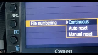 How to use the file numbering in Canon 5D Mark II
