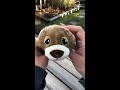 cutetitos 😍 satisfyingvideo asmr shorts shortsmas plushtoys asmrsounds cuteanimals