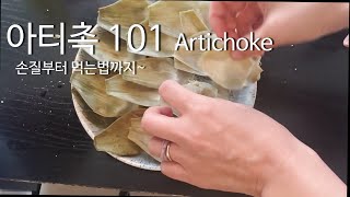 아티촉 101/Artichoke 101/먹는법, 손질하는 법, 고르는 법/ 미국식재료소개/ 요리/