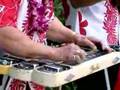 Fender Hawaiian Steel guitar - 