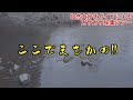 ウシガエル⁉️ ｢家族向けガサガサ採集でザリガニ、ヤゴ、魚を探すツアー｣