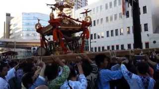 平成26年 氷川神社例大祭 大神輿④