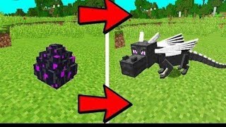 How to hatch ender dragon egg Minecraft pocket edition in all versions