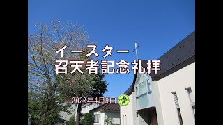 20230409 イースター召天者記念礼拝「主イエスの復活にあずかって｣Iテサロニケ 4 13 18本田勝宏牧師