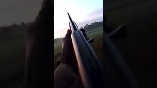 Mxtube.name :: Ade armes fram videsi movie hot shower Mp4 3GP ...