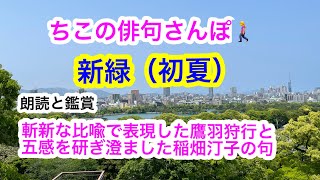 【俳句さんぽ・第13回】初心者にもわかりやすい俳句鑑賞です。初夏の目覚めるような若葉の緑を表す季語「新緑」を詠んだ句、鷹羽狩行と稲畑汀子の名句をご紹介します。#俳句#俳句鑑賞#俳句朗読