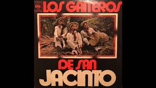 Los Gaiteros De San Jacinto - La Concepción