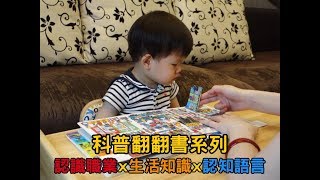 【認知】科普翻翻書系列-認識職業x生活知識x認知語言