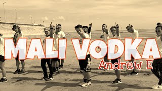 MALI VODKA By ANDREW E | ZUMBA® | OLIVER \u0026 BIG DREAM UNITE TEAM