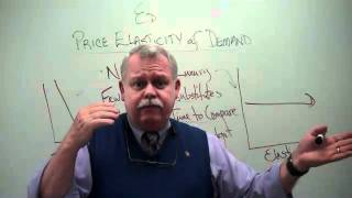 The Price Elasticity of Demand 1 - Overview