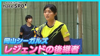 『レジェンド』山口舞さんの後継者！及川真夢が登場！hareSPO！Okayama Seagulls Mayu Oikawa