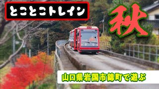 とことこトレインで秋を満喫【山口県岩国市錦町】