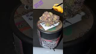 TERPY TIME TASTE BUDS - @connectedcannabis @alienlabstv - PERMANENT MARKER @SharpieUS