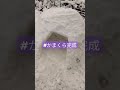 かまくら作り 予報通りの積雪 大人が夢中 幼児お一人様限定サイズ 楽しい 雪遊び 大人も子供も雪遊び 雪だるま