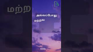 Tamil Quotes மகிழ்ச்சி Happiness #tamil #tamilshortsfeed #tamilword  #youtubetamilshort #shortsfeed