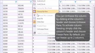 WebGrid - Column Freezing