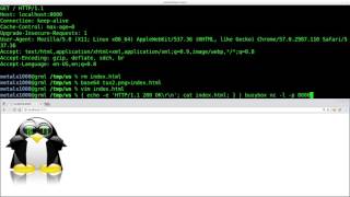 Netcat Webserver Tutorial 3 Embedding Images and Sounds