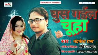 घुस गईल चूहा"singer_Chandrakesh raj_ghus gayil chuha 2018 superhit bhojpuri song{ae fua gajab hua}