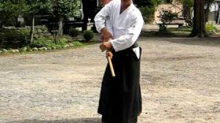 Inagaki shihan(8 dan) Jo tori