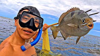 Catch and Cook | Spearfishing Kauai🐟⚔️🍣