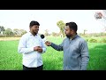 chhindwara के किसान ने बताया जैविक खेती से कैसे बढ़ सकती है आमदनी organic farming । mp news