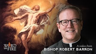 Bishop Barron on The Meaning of the Gospel