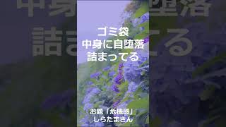 【川柳】今日の一句　2022年5月11日(水)の投稿　#Shorts