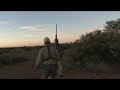 outdoor quest tv eland and blesbok in south africa