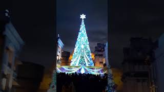 USJ2024年12月25日クリスマスツリー