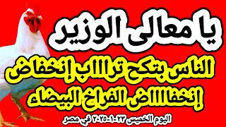 اسعار الفراخ البيضاء اليوم/ سعر الفراخ البيضاء اليوم الخميس ٢٣-١-٢٠٢٥ في مصر جمله وقطاعي