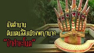 เปิดตำนาน ดินแดนลี้ลับ เมืองพญานาค “ป่าคำชะโนด”