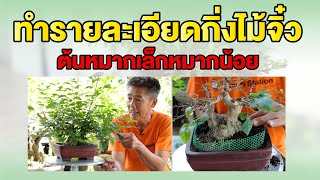 Bonsai Station [Workshop Station] EP.26 ทำรายละเอียดกิ่งไม้จิ๋ว (หมากเล็กหมากน้อย)