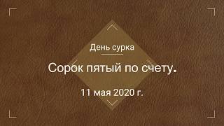 Дневник самоизолятора. День сурка, 45й по счету.