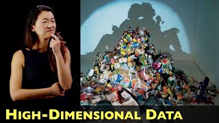 Visualizing High-Dimensional Data