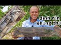 thăm bẩy rắn đổi phong thủy thanh niên chơi lớn.cạo đầu khi quá trúng rắn đầu năm/tuấn săn bắt