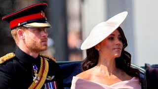 ‘Lefty lunacy now synonymous with Prince Harry and Meghan'